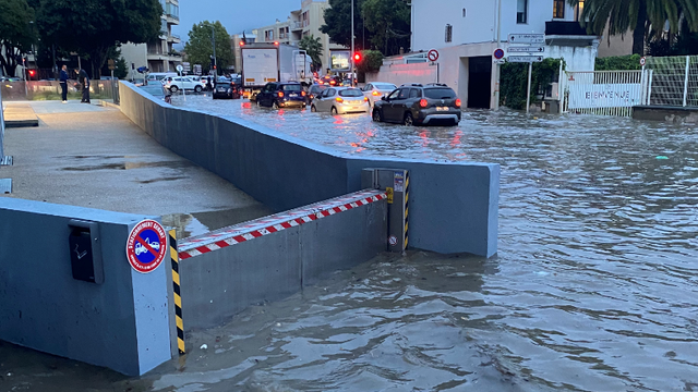 Anhamm Schotts schützen in Mandelieu-la-Napoule