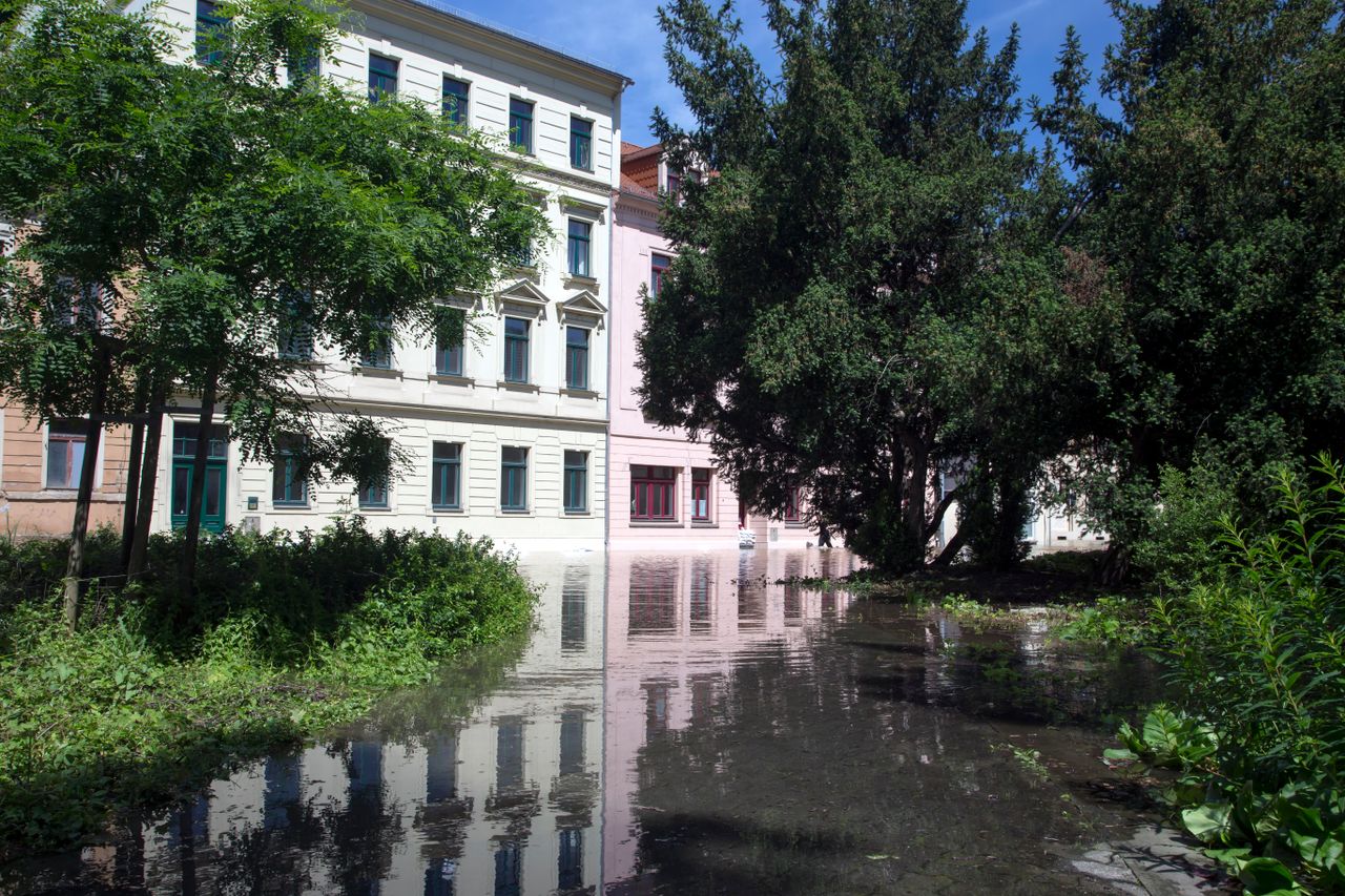 Eine sonnenüberflutete Straße, gesäumt von historischen Gebäuden und üppigem Grün.